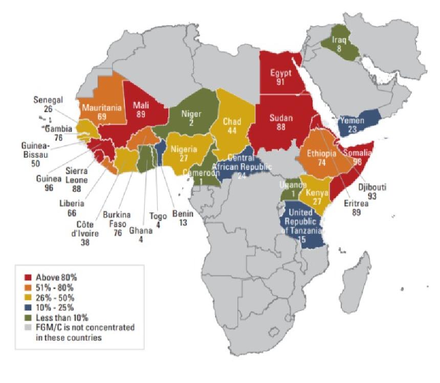 아프리카에서 여성 할례를 경험한 여성의 비율
